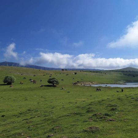 Casa Rural Ulibarri Allo Bagian luar foto