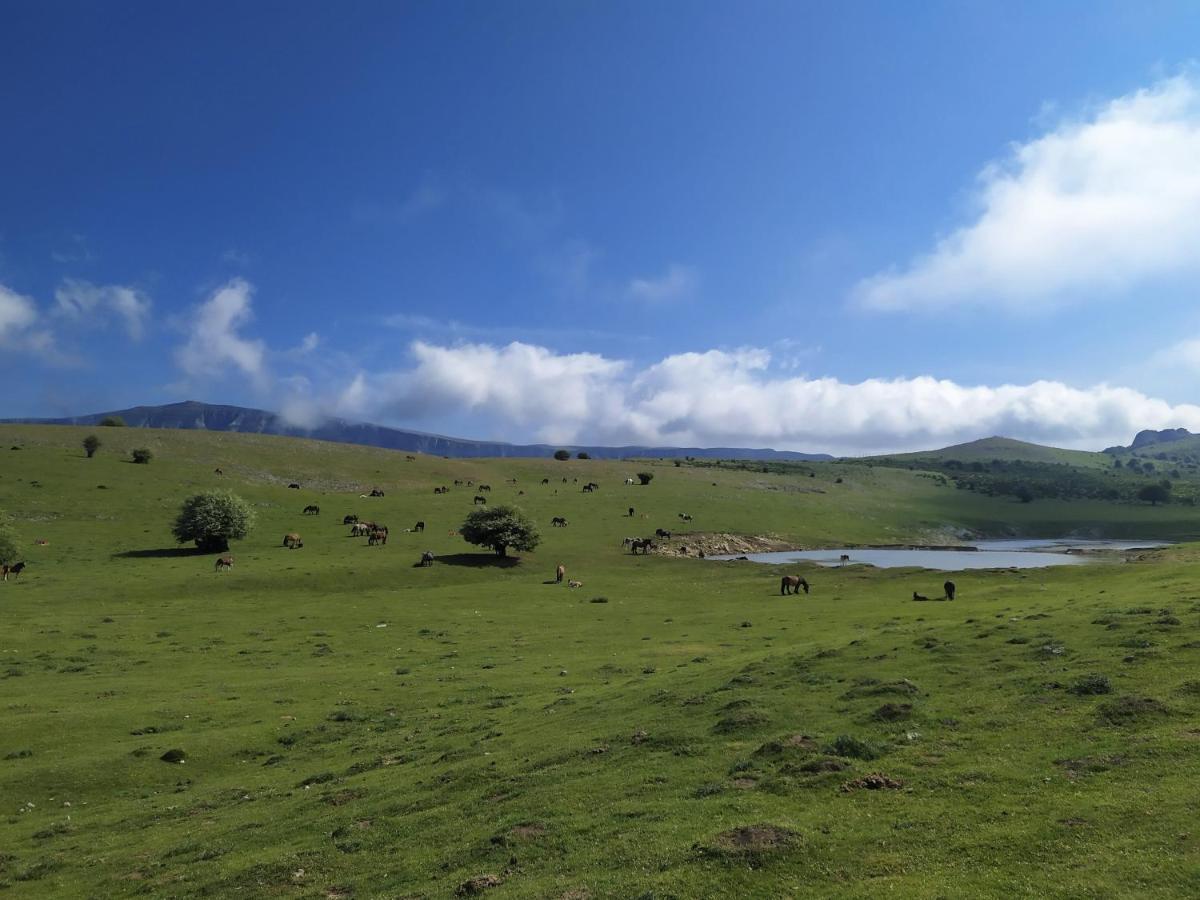 Casa Rural Ulibarri Allo Bagian luar foto